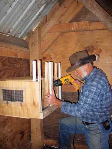 Improve Your Flock with Trapnests